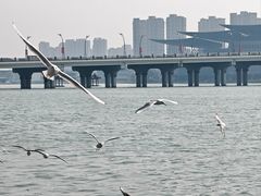-蠡湖大桥公园