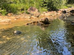 -广州白江湖森林公园