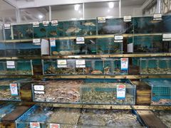 水产区-锐记美食店·现捞海鲜(闸坡店)
