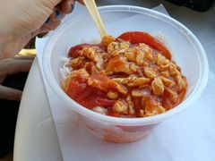 -日照世帆赛基地