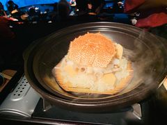 -地球美食剧场