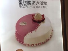 -哈根达斯(石家庄北国店)