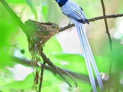 -桤木河湿地公园