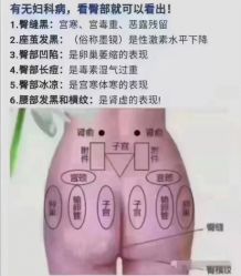-香薇妮丝·定制减肥·身材管理