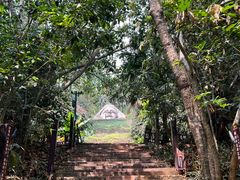 -西双版纳基诺山寨