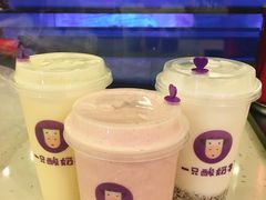 -一只酸奶牛(八一路店)