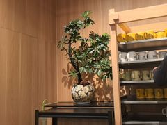 -太二酸菜鱼(石家庄万象城店)