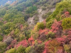 -少华山国家森林公园