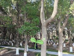 -九科绿洲