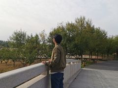 -东郊湿地公园