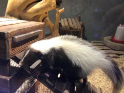 -酷嗒动物文化乐园(cutezoo西溪乐天城店)