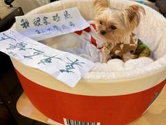 -店溡三(御华名苑愚园路1221弄店)