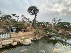 -罗红摄影艺术馆