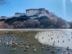 -宗角禄康公园