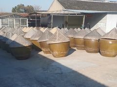 -苏州市吴中区光福窑上花果蜜饯厂