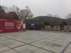 -香雪海