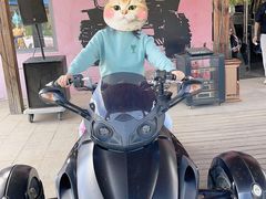 -北京炫动卡丁车俱乐部