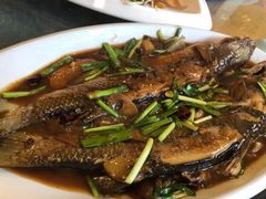 -龙香居海鲜家常菜饭店·特色驴肉·古城浑锅