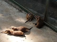 -呀诺达热带雨林