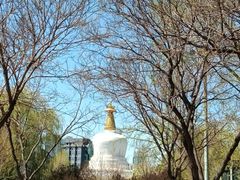 -护国法轮寺