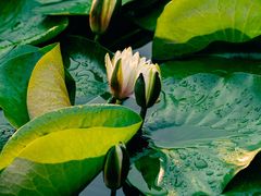 -长春公园(普阳街道)