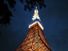 -东京塔海贼王主题公园