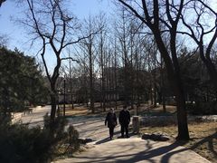 -玲珑塔公园