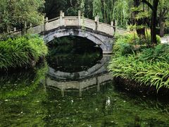 -棠湖公园
