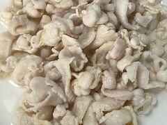 肚仁-马姐爆肚儿门丁肉饼
