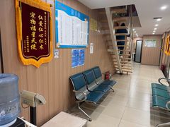 -米苏动物医院·犬猫专科·骨科外科内窥镜