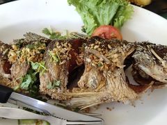 -Doo Dee Thai Food(Issan/Isaan/Esan)