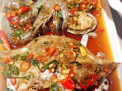 -日进一片海.生腌海鲜火锅.宵夜烧烤(三里屯总店)