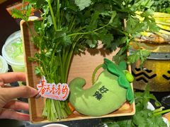 -探鱼·鲜青椒爽麻烤鱼(北京路天河城店)
