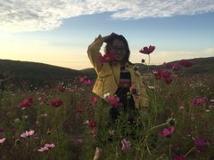 -草原天路(张北县)