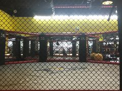 -天行健身＆天行拳馆跆拳道·格斗TXGYM