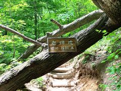 -龙道沟景区