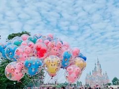 -上海迪士尼度假区