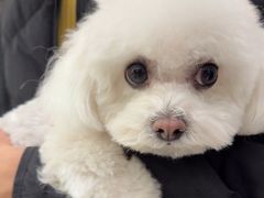 -comecome来吧宠物(奥克斯中心店)