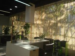 -CARR SALON