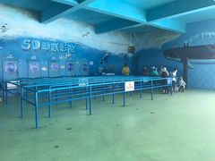 -秦皇岛乐岛海洋王国