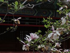 -潭柘寺景区