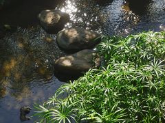 -西湖公园(鼓楼区)