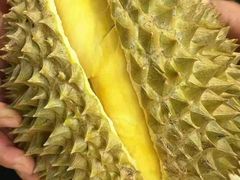 -蟹福家活蟹料理·豪华自助(绿洲假日酒店)