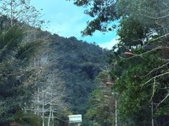 -海南热带雨林国家公园吊罗山景区