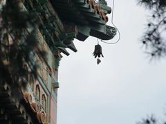 -颐和园