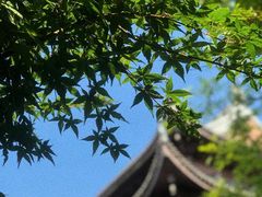 -龙华寺