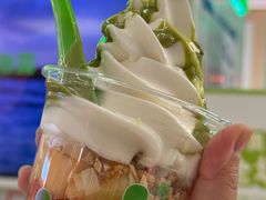 -Salud撒露欧洲冻酸奶(五道口购物中心店)