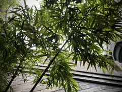-自如ZSPACE四合院艺术餐厅