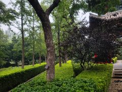 -燕郊植物园