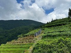 -龙脊梯田